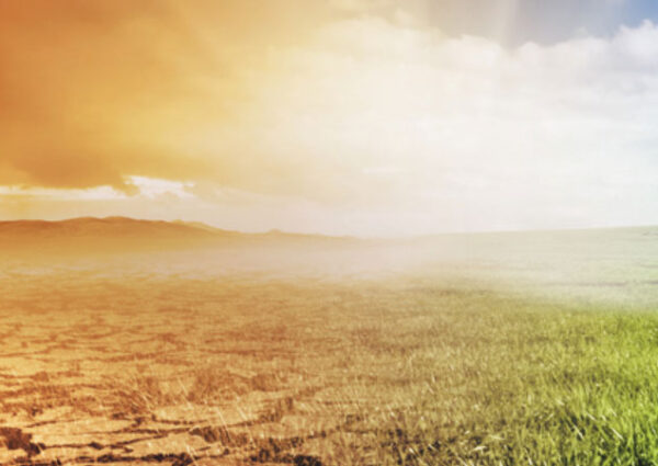 Environmental Sustainability