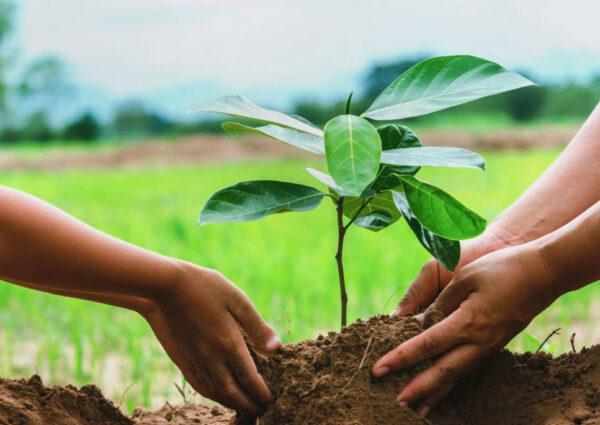 Environmental Education and Awareness