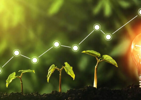 Green Technology and Innovation